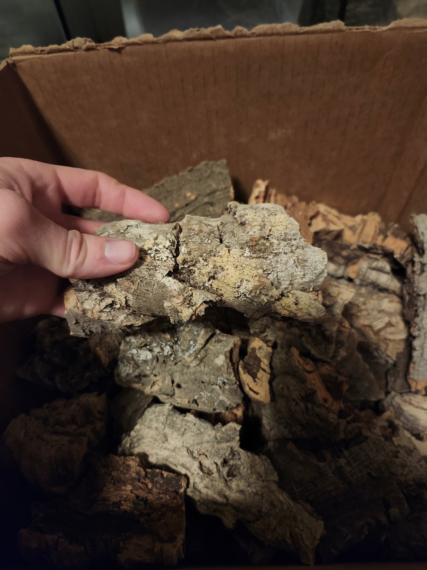 Size 1 Cork bark