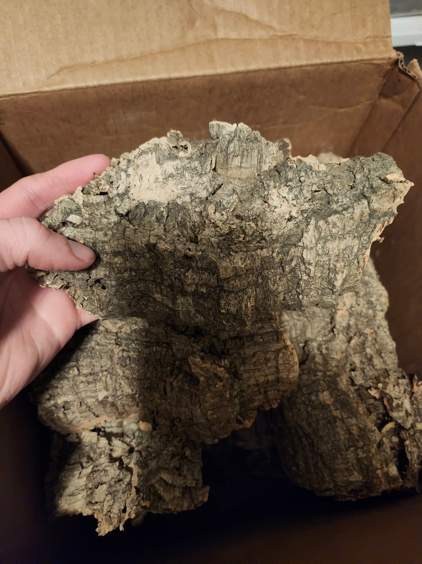 Cork bark size 6